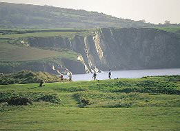 Bryn  Bed and Breakfast, Golfers on Newport Links